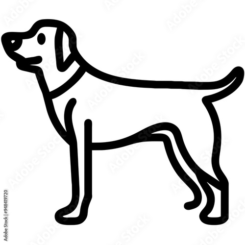 Loyal Dog Sitting Happily, Showcasing Its Affection and Playfulness
