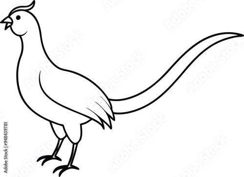 Playful and colorful vector illustration of a laughing pheasant with a striking long tail
