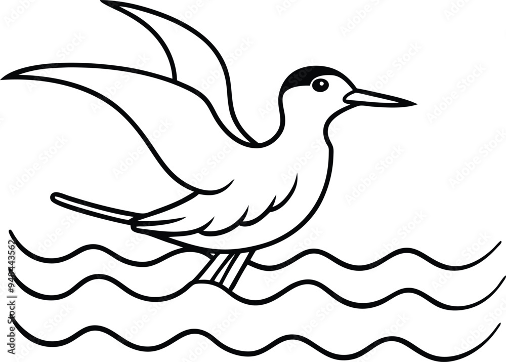 Obraz premium Tern soaring above waves captured in simple elegant line art 