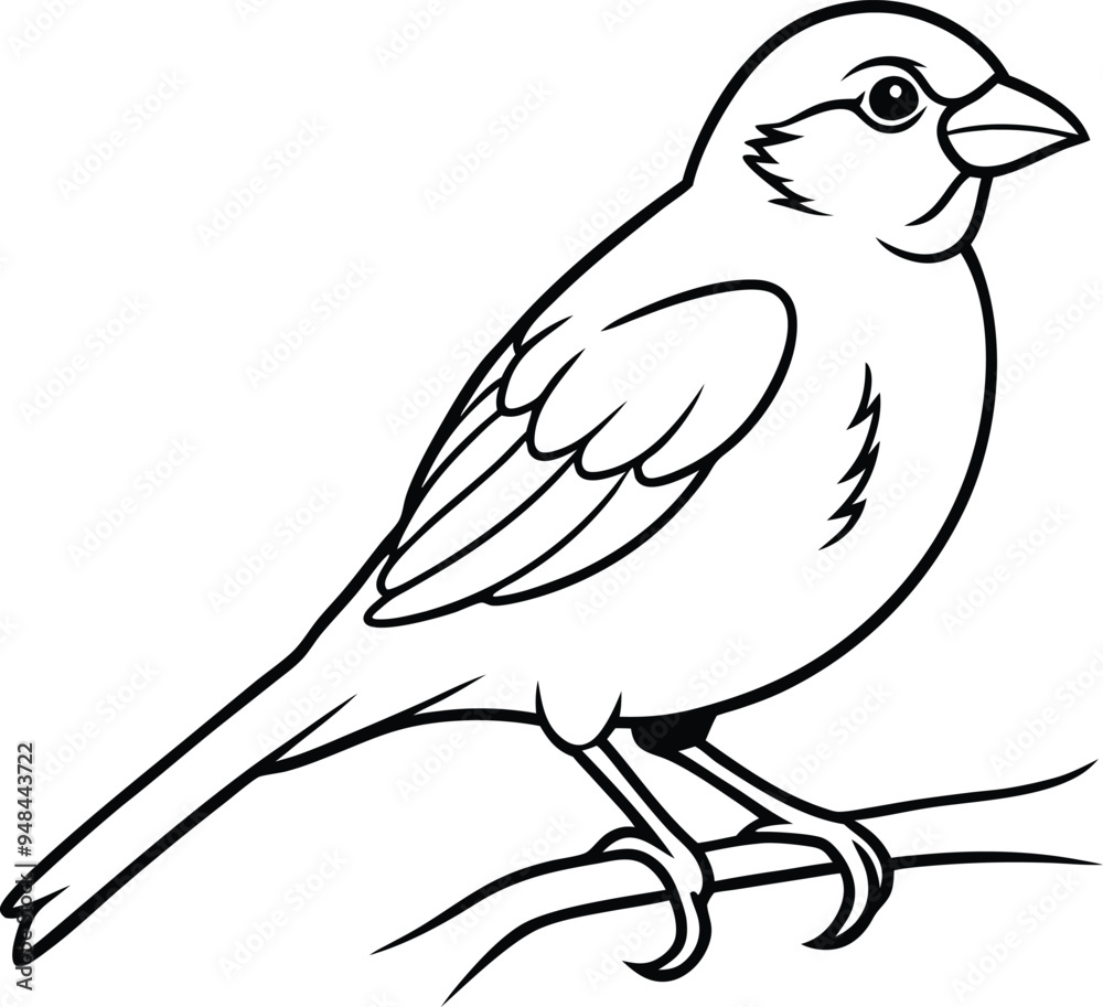 Minimalist line art of a happy sparrow on a branch
Minimalist line art of a happy sparrow on a branch