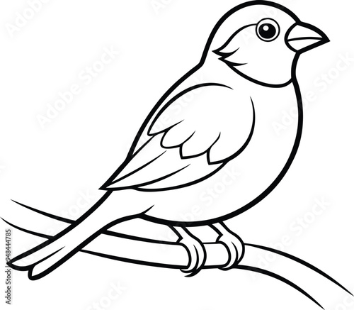 Sparrow happily perched on a branch minimalistic line drawing
 photo