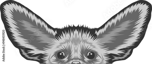 Fennec Fox Face Peeking Color