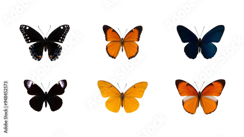 Set of different colorful butterflies isolated on transparent background