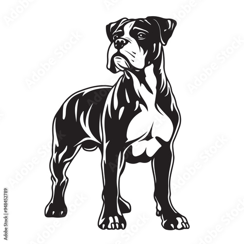 Boxer Dog Standing Vector. Boxer Dog Standing Vector Illustration