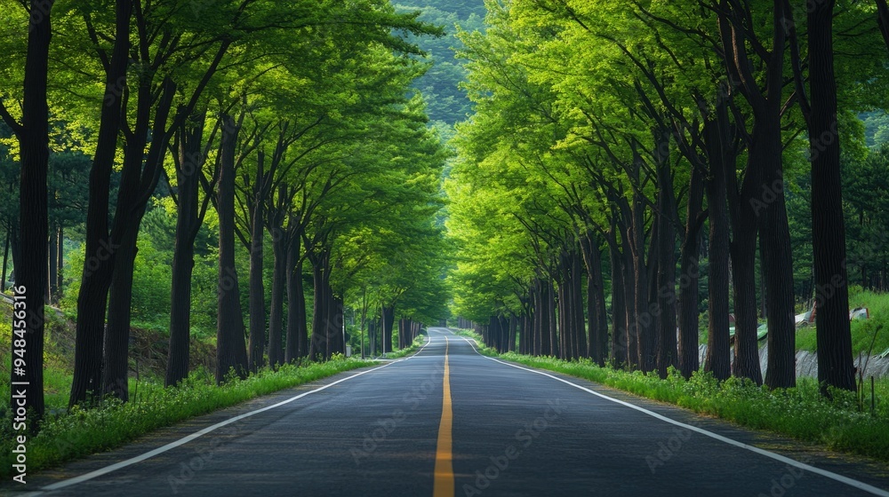 Fototapeta premium Leafy Retreat: The serene and beautiful metasequoia-lined road in Damyang, Korea, where the lush canopy provides a peaceful retreat.