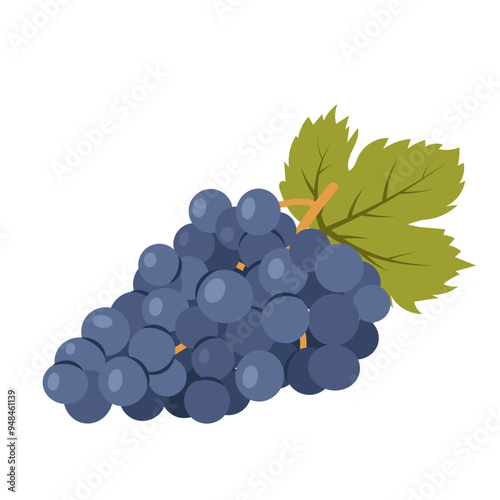 Fresh blue grapes. A grape bunch with a green leaf  isolated on a white background. Ingredient for making wine. Flat style illustration.