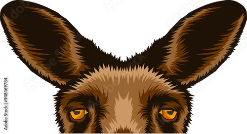 Kangaroo Face Peeking Color