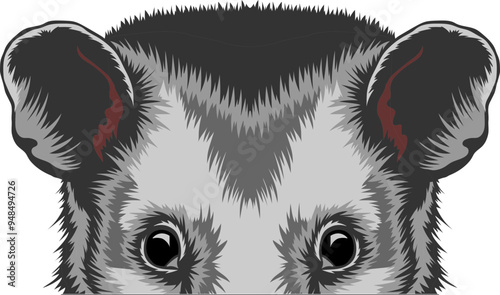 Opossum Face Peeking Color
