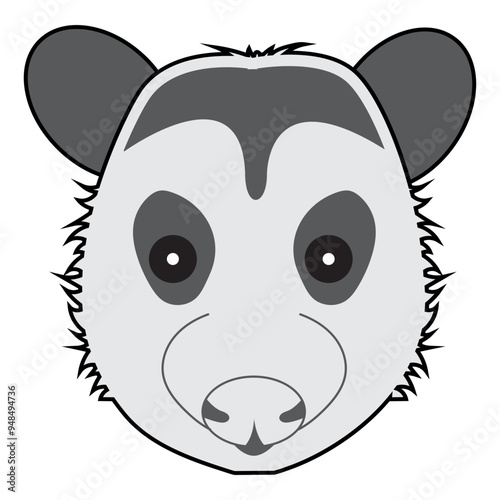 Opposum Face