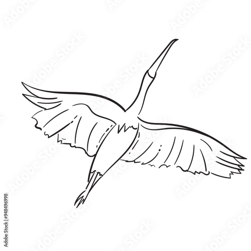 Stork Poses