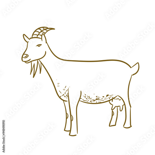 Farm Animal Goat