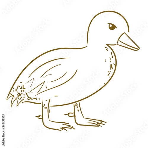 Farm Animal Duckling