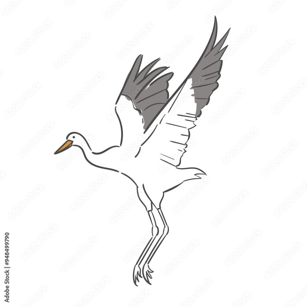 Fototapeta premium White Crane Poses