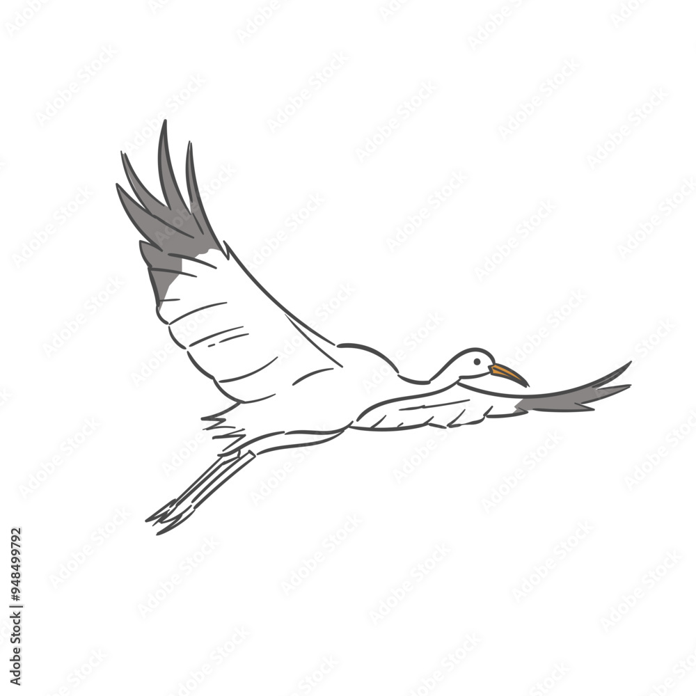 White Crane Poses White Crane Poses