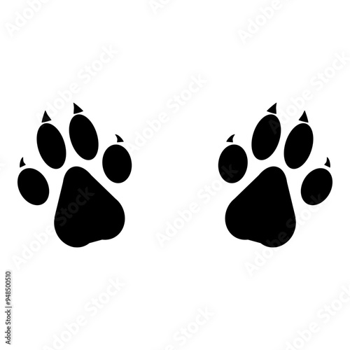 Paw Prints