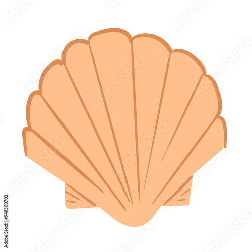 Beach Elements Sea Shell