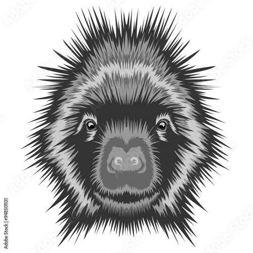 Porcupine
