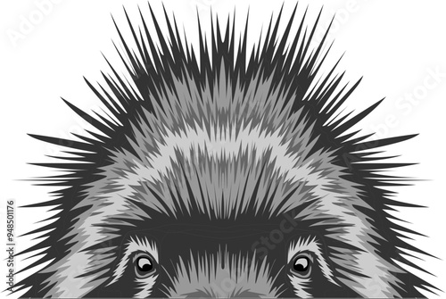 Porcupine Face Peeking Color