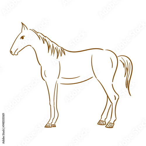 Horse Poses