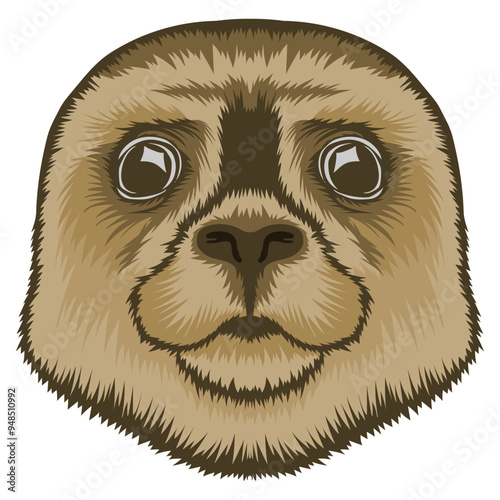 Seal