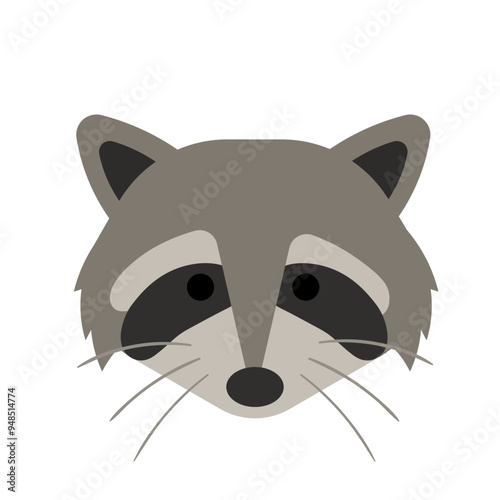 Animal Baby Face Elements Raccoon