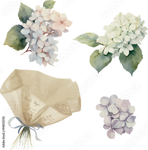 Vector, clipart, purple hydrangea, wrapped Bouquet, with bow, festive flowers, Watercolor illustration, Greeting cards, invitation, party, baby shower, birthday, event, holiday, wedding card, printabl