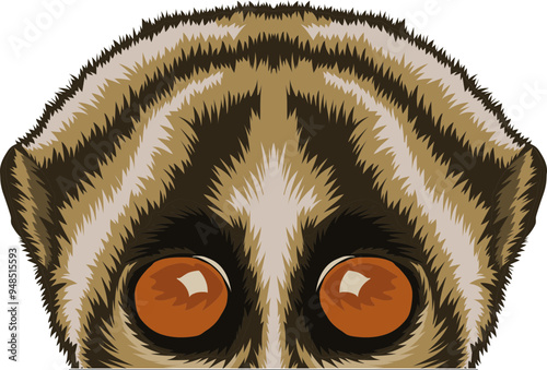 Slow Loris Face Peeking Color