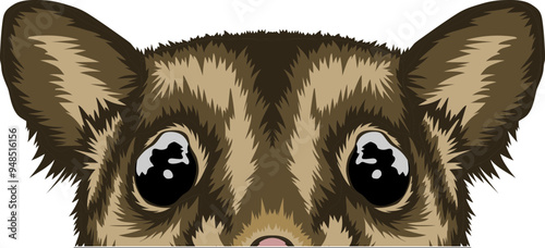 Sugar Glider Face Peeking Color