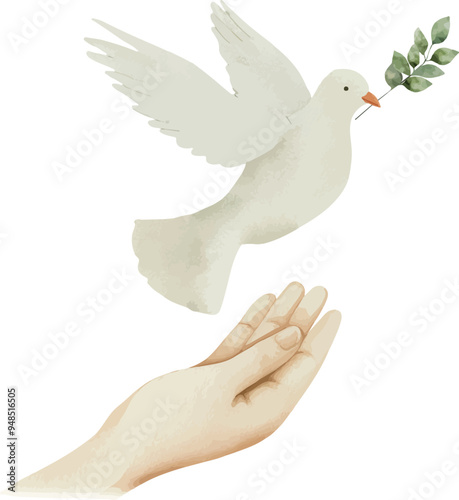 Vector, clipart, hydrangea, pigeon in the palms, white pigeon, peace, olive branch, Watercolor illustration, Greeting cards, invitation, party, baby shower, birthday, event, holiday, wedding card, pri