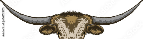Texas Longhorn Face Peeking Color