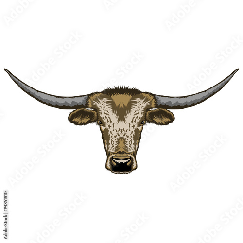 Texas Longhorn