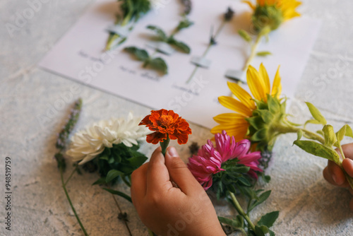 Fototapeta Naklejka Na Ścianę i Meble -  A child makes a herbarium of summer flowers with his own hands, an idea for creativity