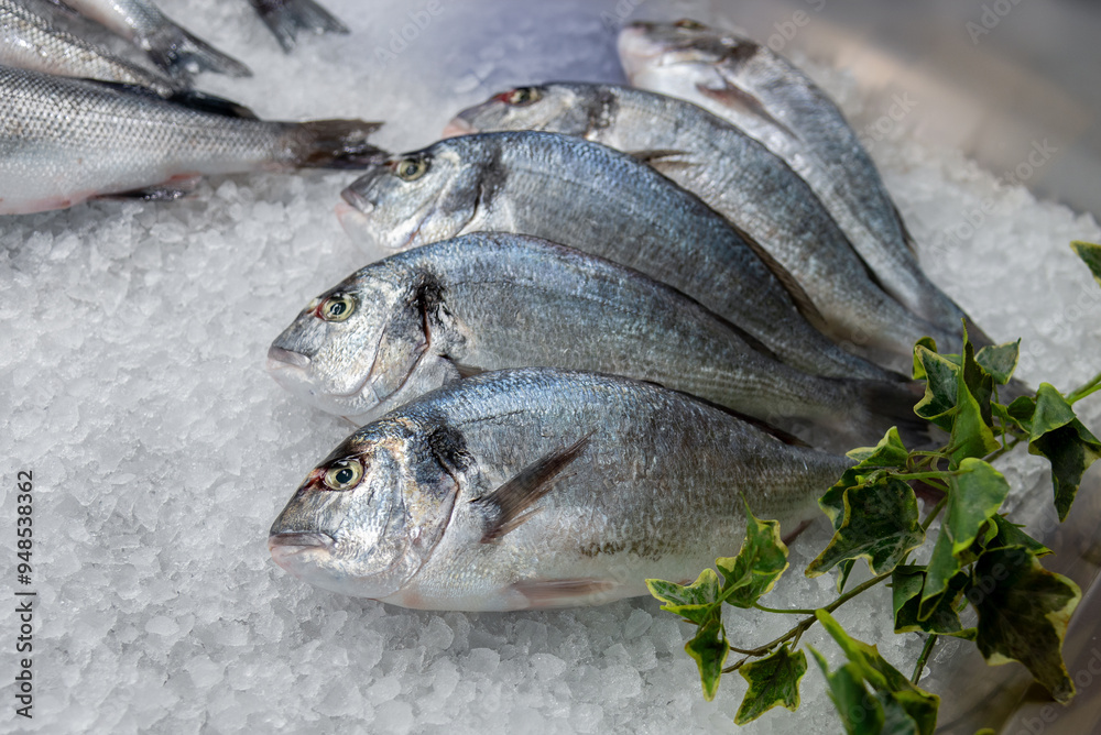 Snapper, bream, fresh fish displayed on crushed ice for sale sun fishmonger's counter Snapper, bream, fresh fish displayed on crushed ice for sale sun fishmonger's counter