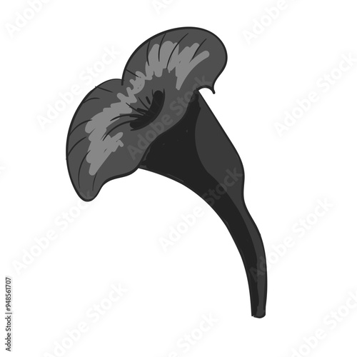 Hand Drawn Black Trumpet Mushrooms