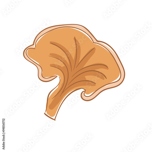 Hand Drawn Chicken Of The Woods Mushrooms