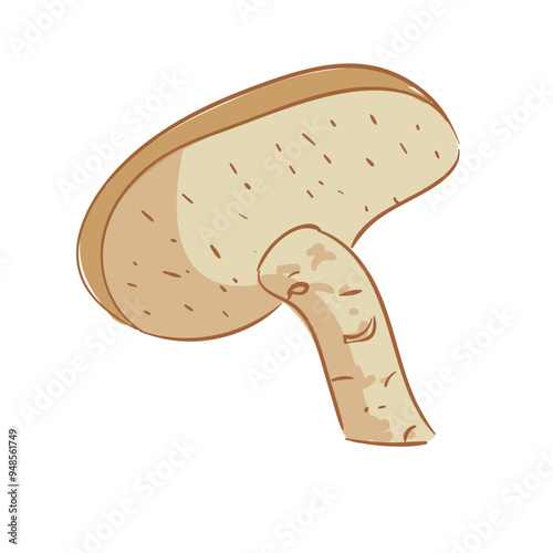 Hand Drawn Hedgehog Mushrooms