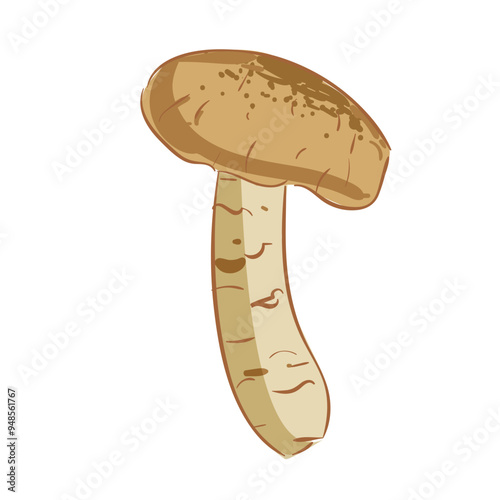 Hand Drawn Matsutake Mushrooms