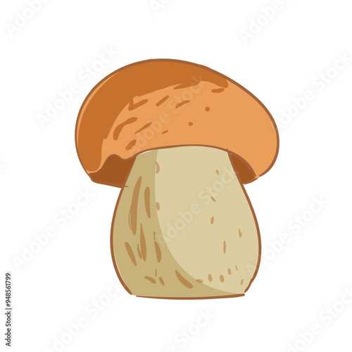 Hand Drawn Porcini Mushrooms