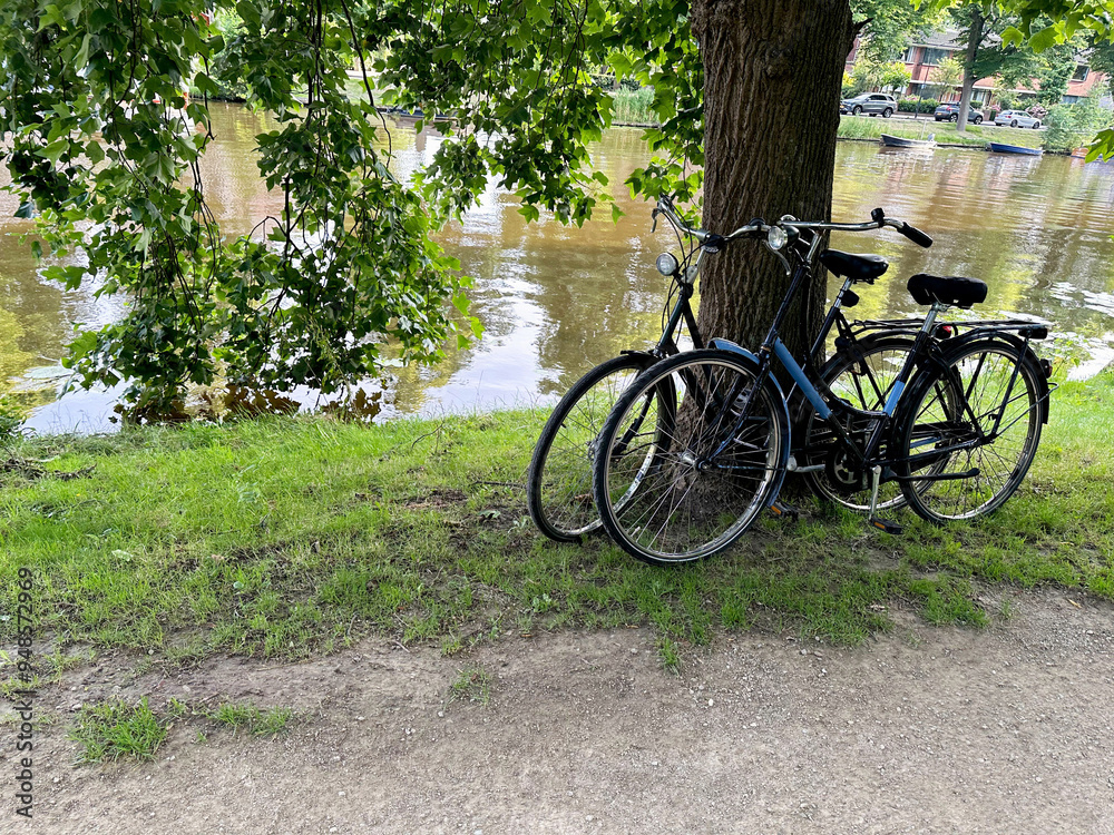 Fototapeta premium Bicycles parked at tree near canal outdoors