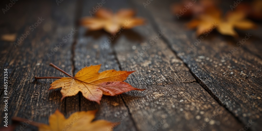 Autumn leaves scattered on wooden background. Autumn leaves scattered on wooden background.