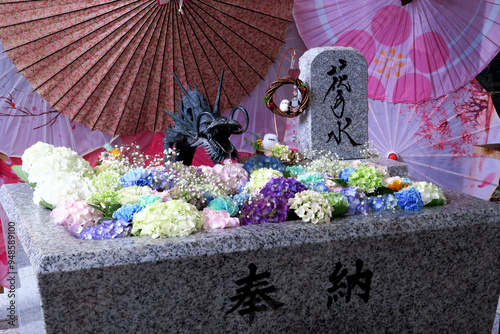 Hanachozu filled with colorful hydrangeas in Japan photo