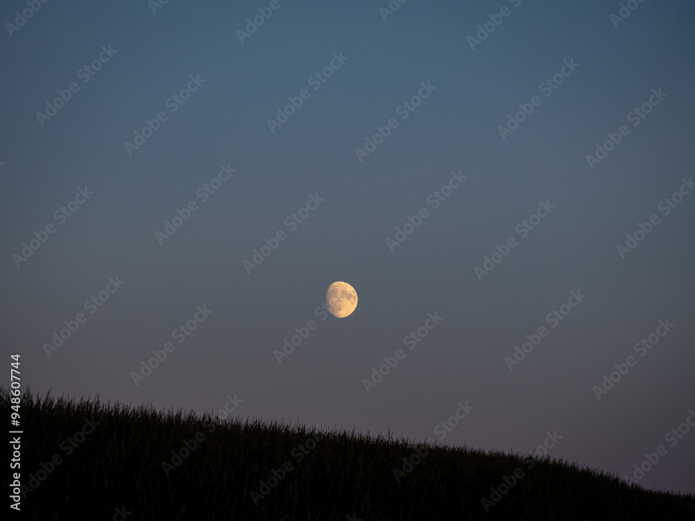 moon and Field moon and Field