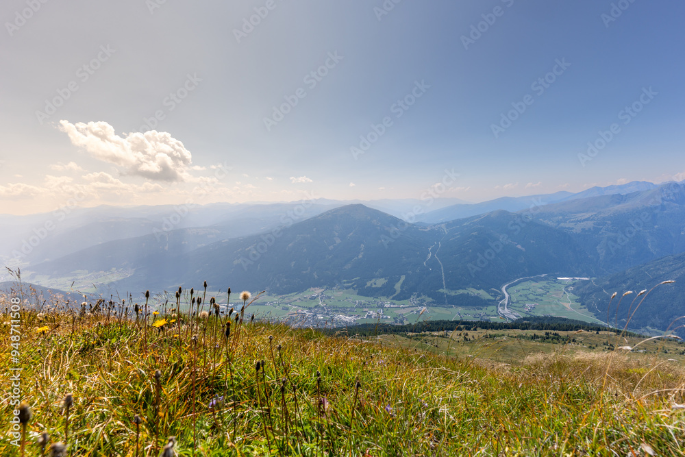 Fototapeta premium landscape in the summer