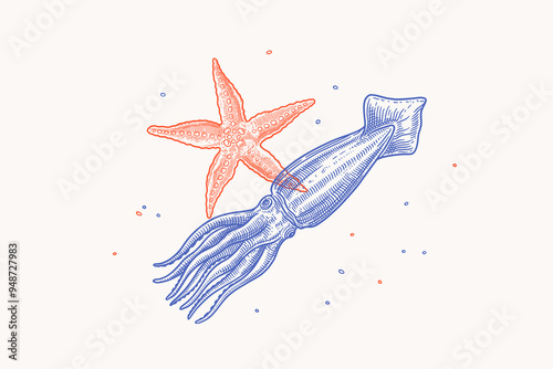Hand-drawn illustration of a squid and starfish in contrasting colors. Engraving style. Vector illustration of marine mollusks. Perfect for marine-themed designs and educational purposes.