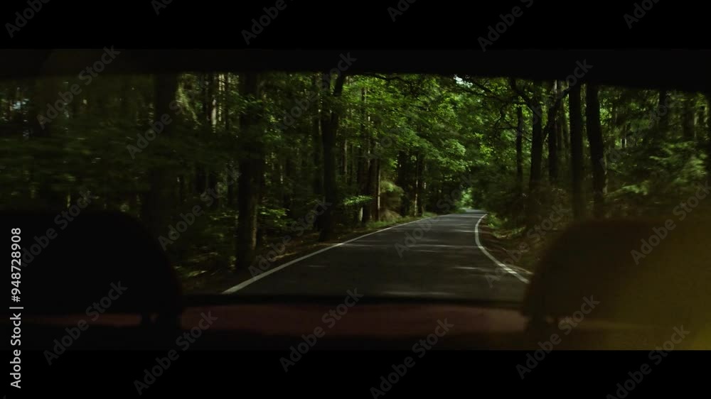 Back face of a vehicle driving in the forest road Back face of a vehicle driving in the forest road