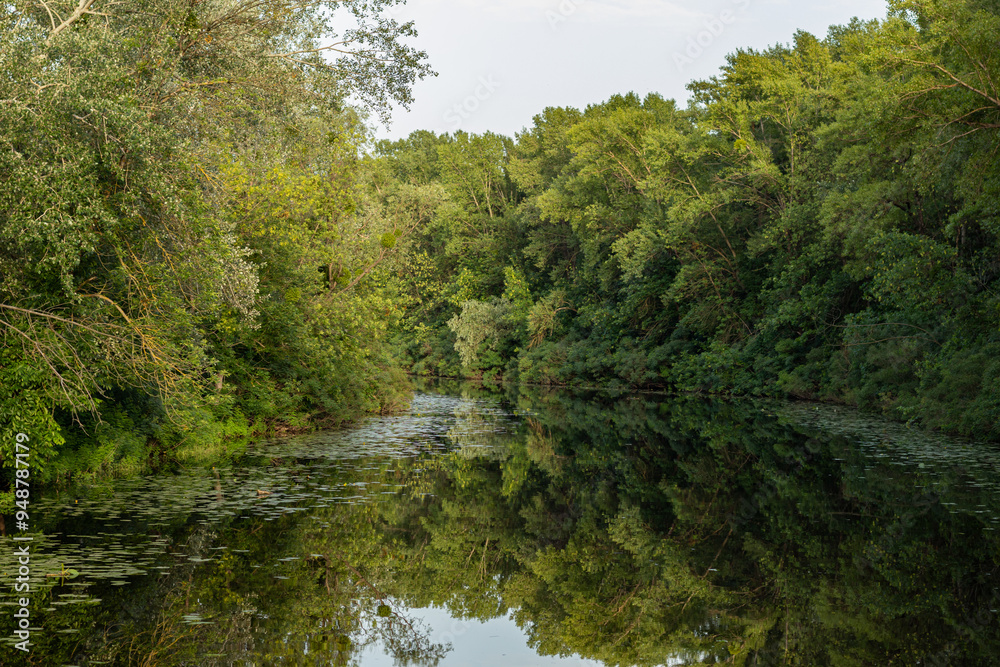 Serene river scene with dense, green forest on both shores, clear reflection in calm water, under a soft, daytime light. Aquatic vegetation and lush foliage create a peaceful, natural atmosphere.
Serene river scene with dense, green forest on both shores, clear reflection in calm water, under a soft, daytime light. Aquatic vegetation and lush foliage create a peaceful, natural atmosphere.