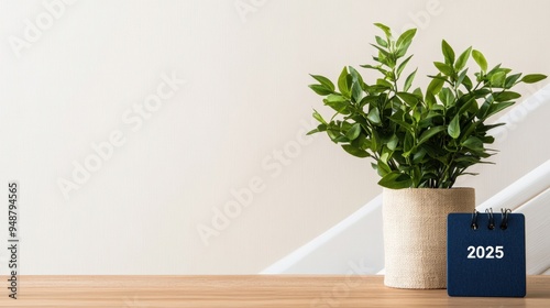 A stylish plant in a pot beside a desk calendar for 2025, creating a serene and organized workspace atmosphere.