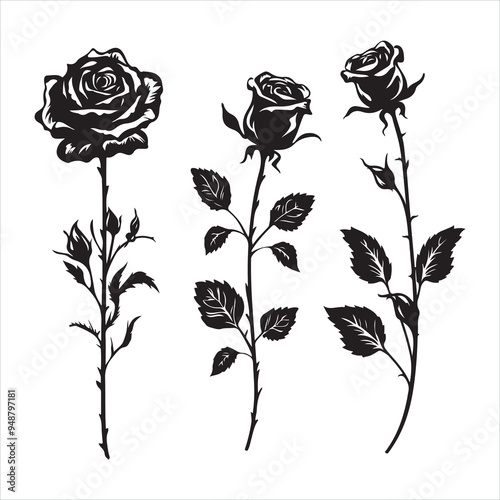 Black silhouette of rose set silhouette on white background
