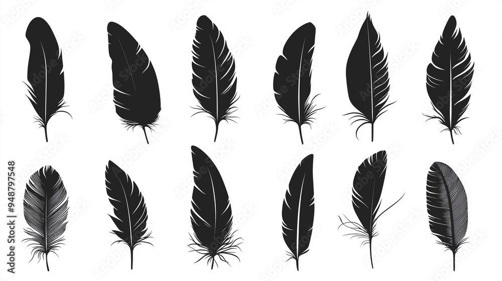Black feathers icons set. Isolated dark feather, bird plumage. Decorative clipart of boho, wildlife, hand made. Wild nature, writing vintage tool