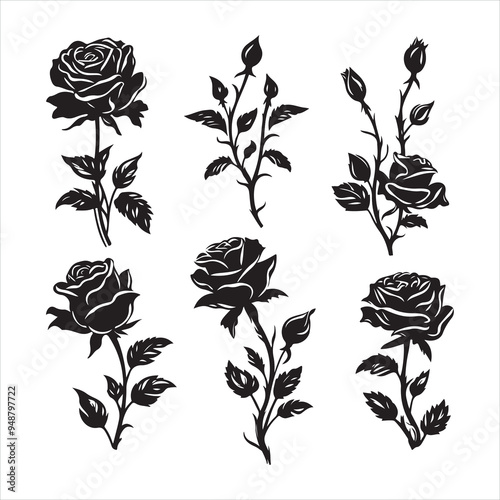 Black silhouette of rose set silhouette on white background
